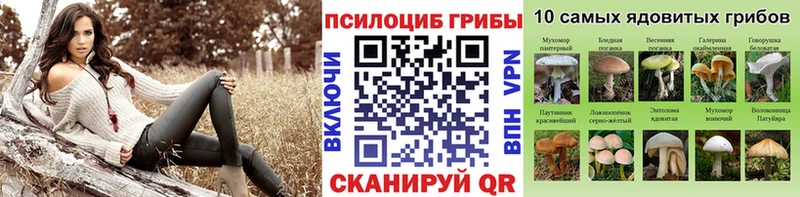 Галлюциногенные грибы Psilocybine cubensis  ОМГ ОМГ ТОР  Белинский 